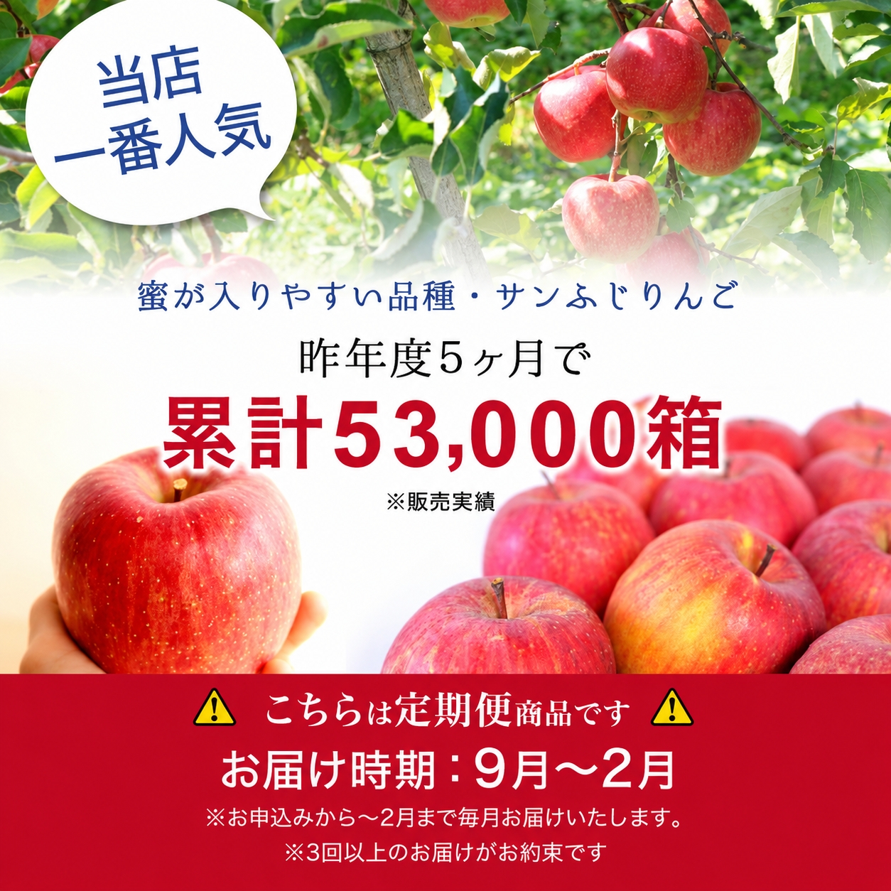 �R�`���Y �T���ӂ���� ����ւ̔̔�����