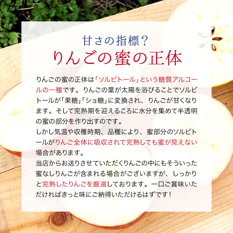 �R�`���Y �T���ӂ���񂲂̂�������