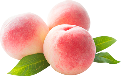 ���E�݂̐V�N��������