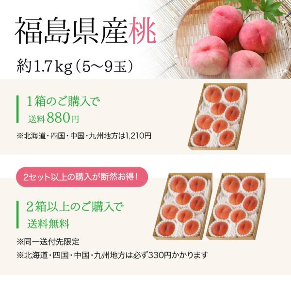 W緑とW桃⭐︎まとめ買い◎ 桃の名産｜福島県産 訳あり 光センサー桃1.7kg(5～9玉)
