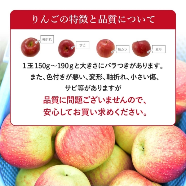 長野りんご｜長野県産 葉とらず小玉りんごご家庭用 4.5kg(23～30玉）