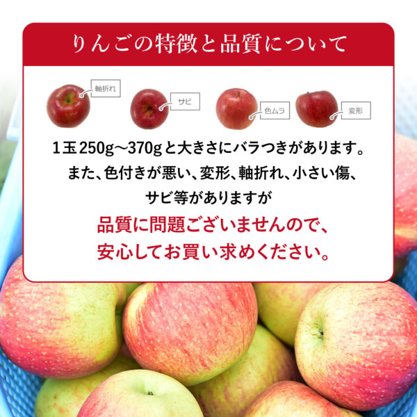 長野りんご｜長野県産 葉とらずりんごご家庭用 5kg（12～20玉）