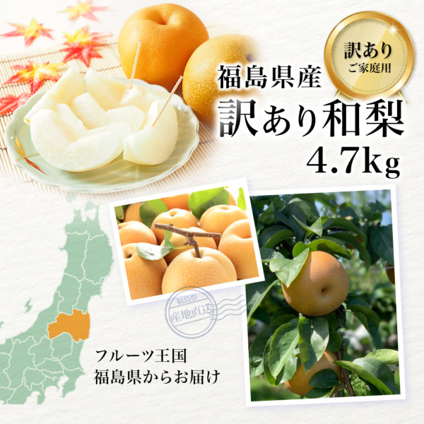 福島県産 訳あり梨 約4.7kg（12～18玉）