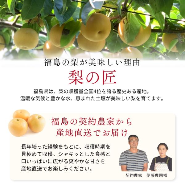 リクエスト品/梨20kg/期間限定/産地直送/新鮮な和梨/訳あり品 福島県産 訳あり梨 約4.7kg（12～18玉）
