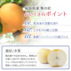 �A�C�e���C���[�W