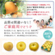 �A�C�e���C���[�W