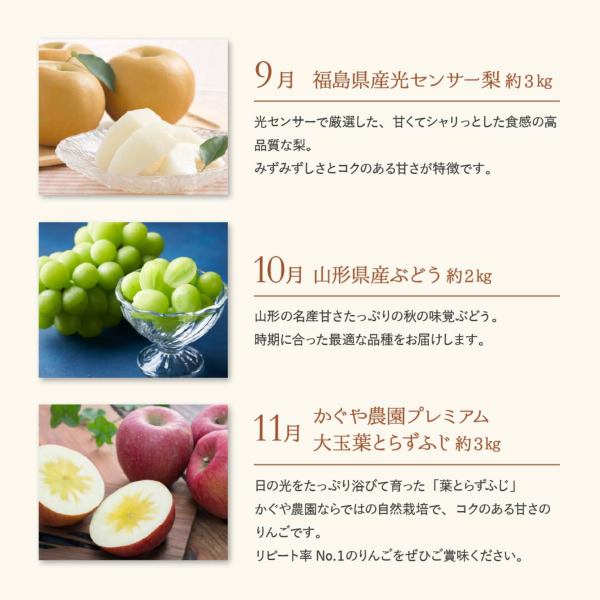 豪華フルーツ便（FS） 定期便2 東北ハッピー農園