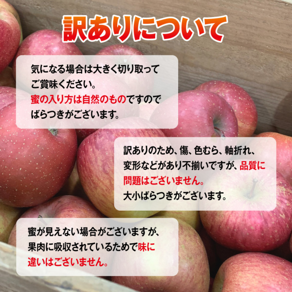 山形県産 訳ありりんご 2kg(6～11玉) フルーツ 東北ハッピー農園