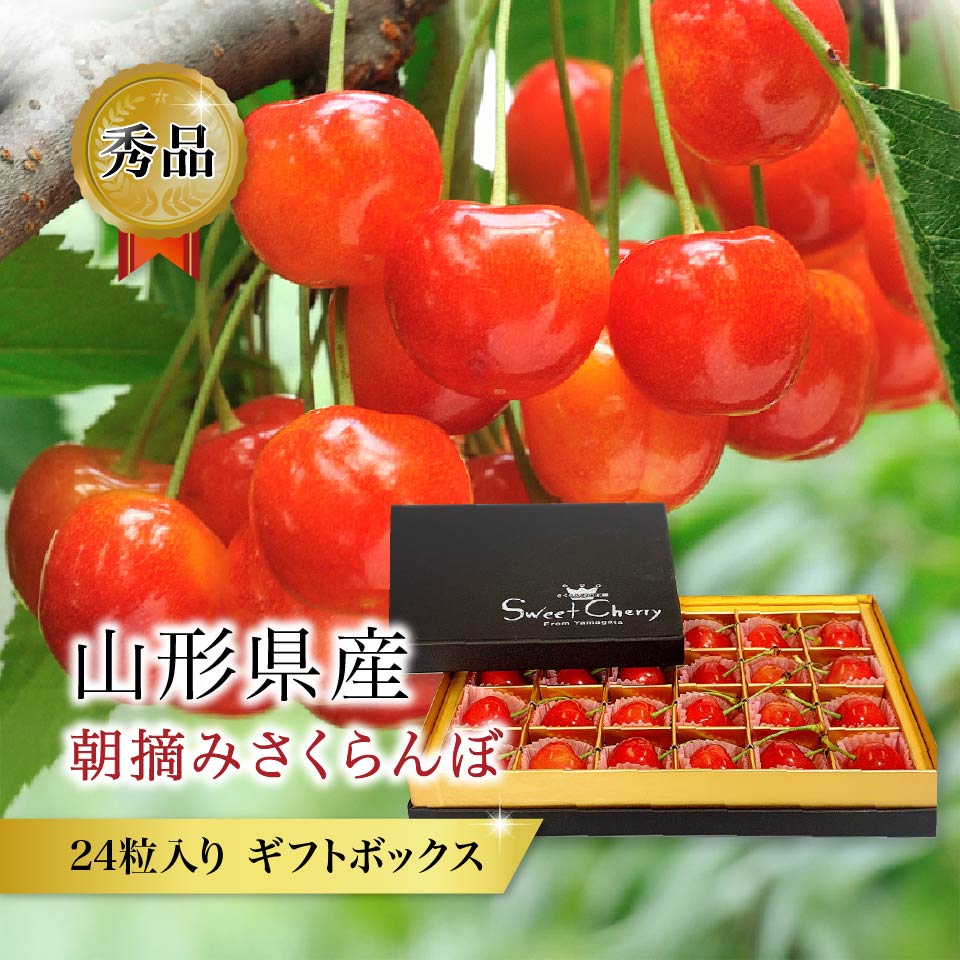 山形県産さくらんぼ ギフトボックス24粒入り｜佐藤錦・紅秀峰 贈答用