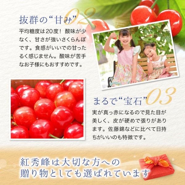 山形県産 さくらんぼ 紅秀峰 特秀品 500g 並べ詰め 2L玉