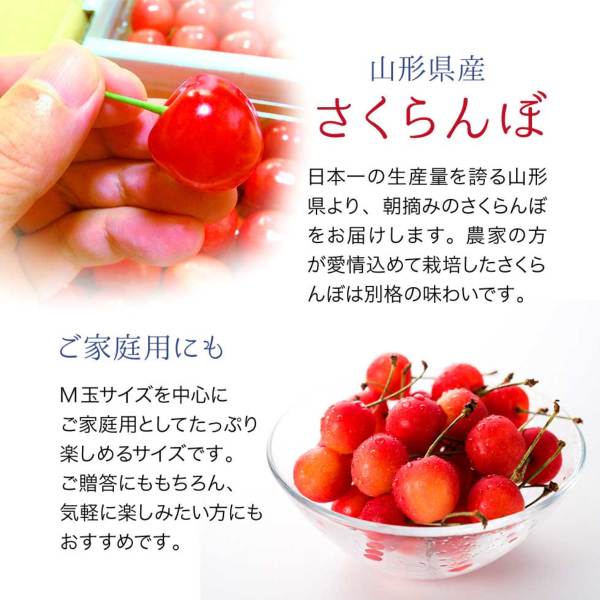 山形県産 さくらんぼ 優品700g バラ詰め（佐藤錦・紅秀峰）｜産地直送