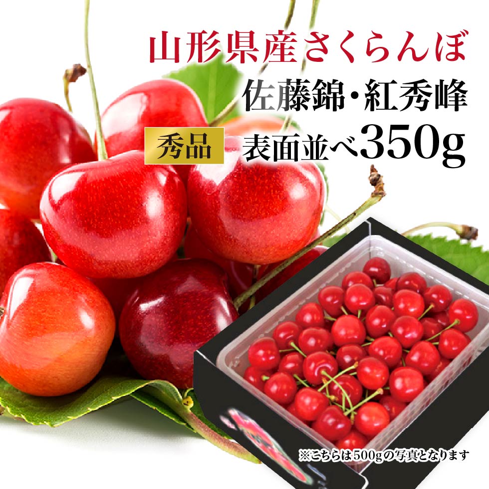 さくらんぼむページ sakura350-s-01-pl.jpg