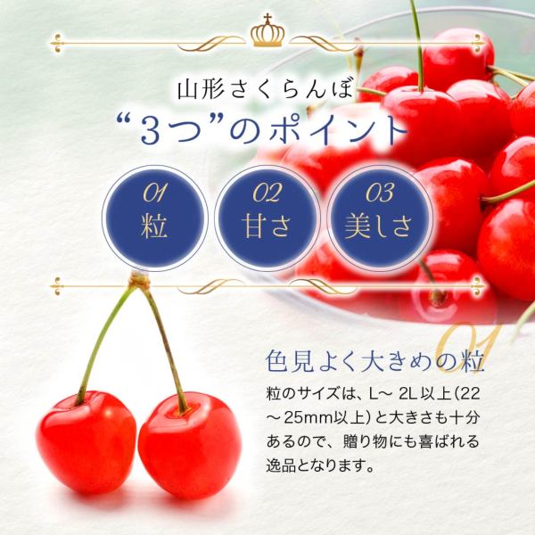 山形さくらんぼ｜山形県産さくらんぼ秀品350g表面並べ（佐藤錦