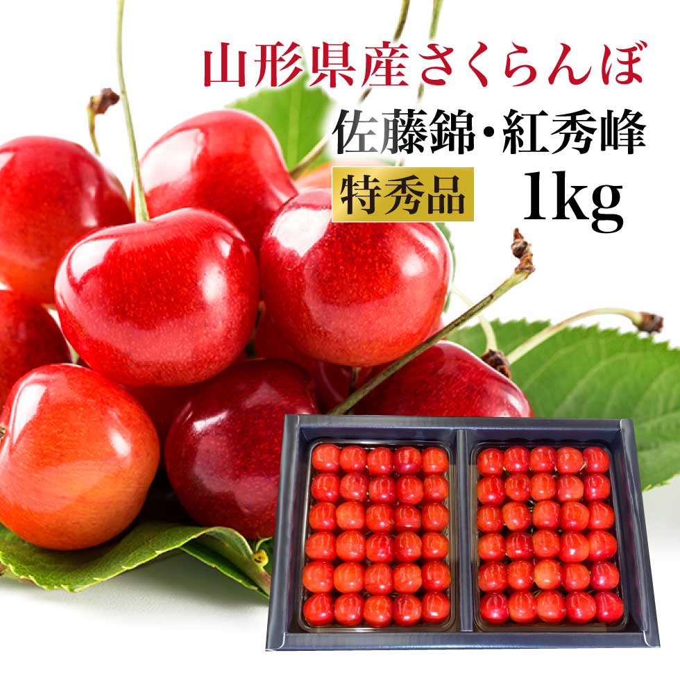 山形県産さくらんぼ 特秀品 1kg 並べ詰め｜高級ギフト