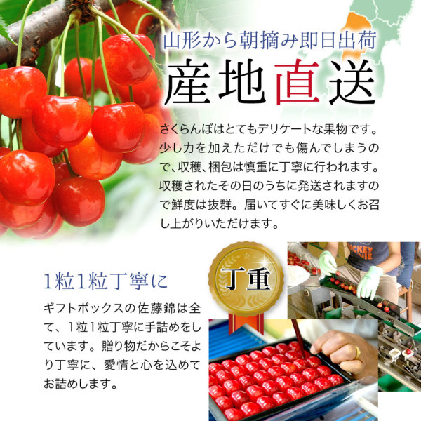 母の日ギフト｜さくらんぼ ギフトボックス 24粒入り 山形県より