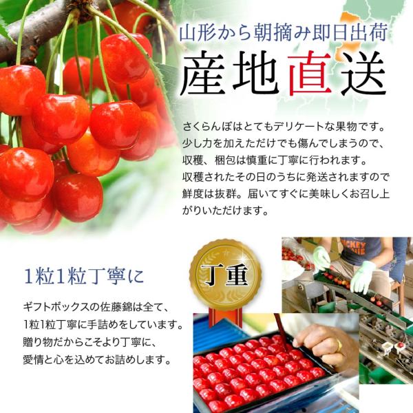 えび です。　佐藤錦１ｋｇｘ4箱 山形県産 秀品 さくらんぼ 佐藤錦 350g 表面並べ（新聞