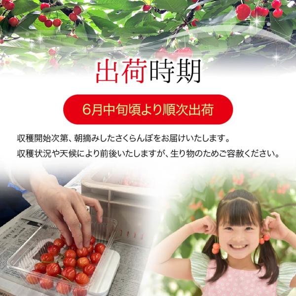 畑山とんぴー様 フォロー割 専用出品 畑山とんぴー様 フォロー割 専用出品 🐥💚横山💙🍅🌈 on X: