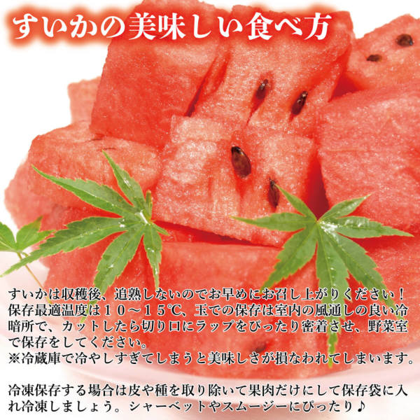 すいかの名産｜山形県産 尾花沢スイカ 秀品 大玉(5～6L)