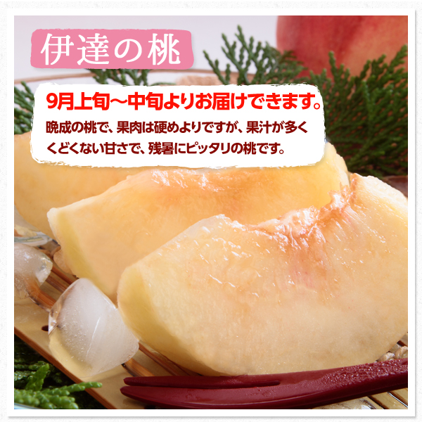■【山形県産　桃】もも CX9玉 秀品4 2026年度先行予約】 もらって嬉しい大人気の黄桃！ 特秀品 品種