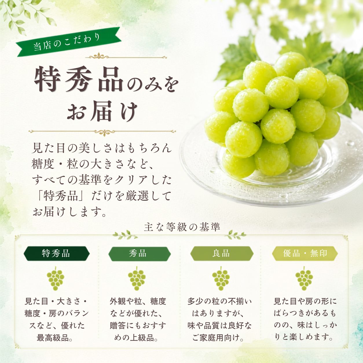 �R�����Y�V���C���}�X�J�b�g���G�i�̐���