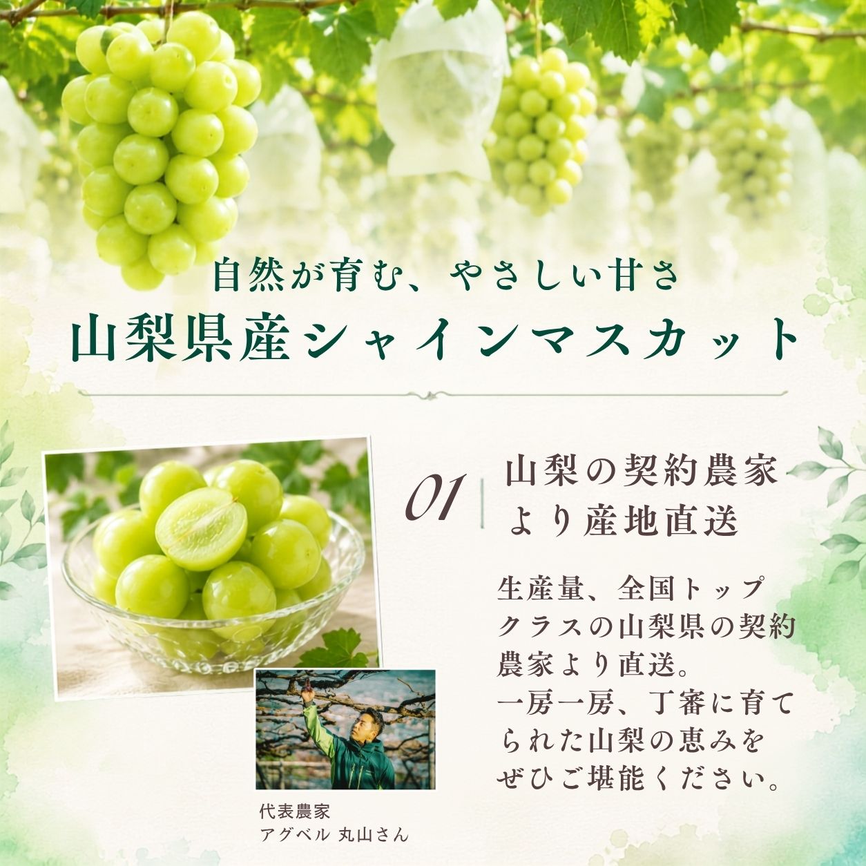 �R�����Y�V���C���}�X�J�b�g�����������R1