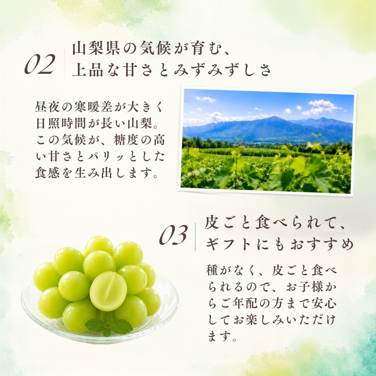 �R�����Y�V���C���}�X�J�b�g�����������R2