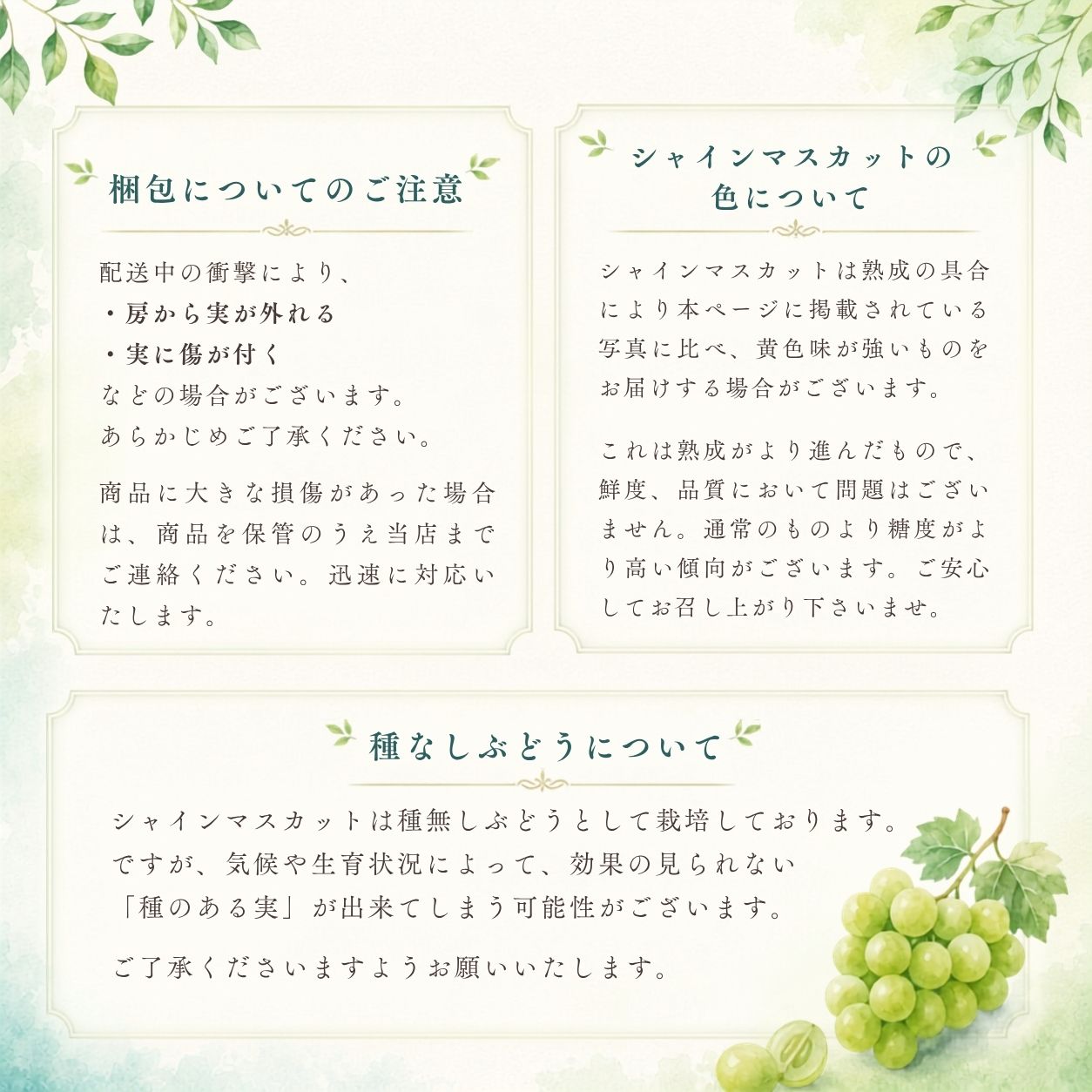 �R�����Y�V���C���}�X�J�b�g���ӎ���