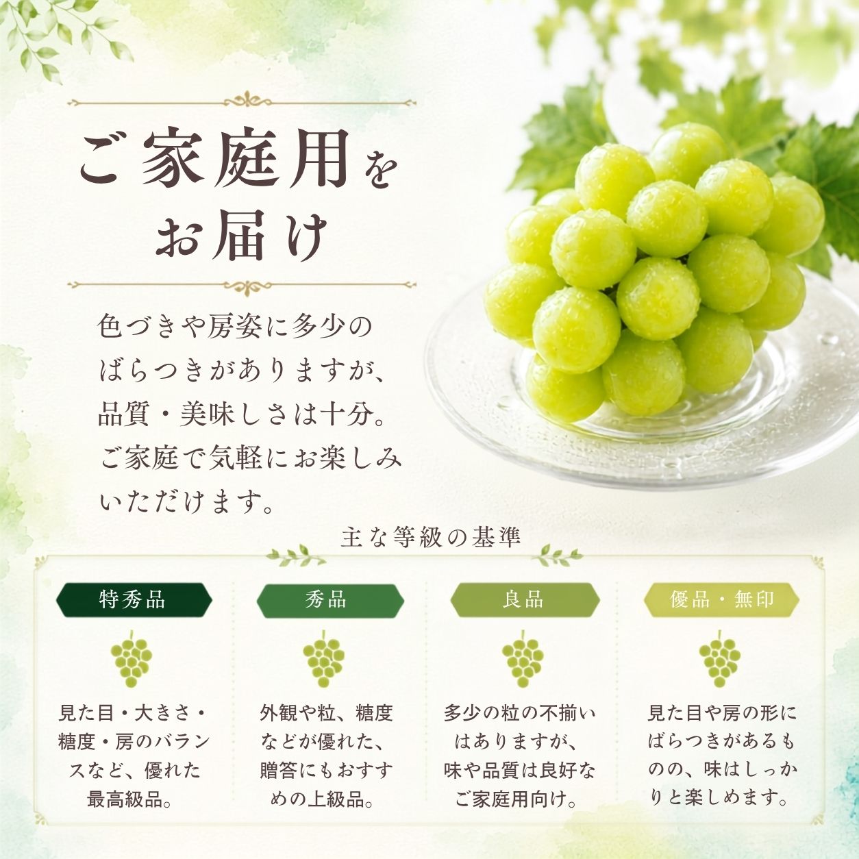 �R�����Y�V���C���}�X�J�b�g�D�i����