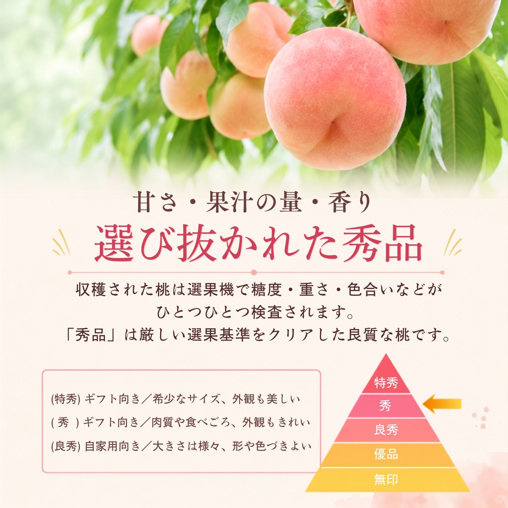�R�����Y�����̔�������