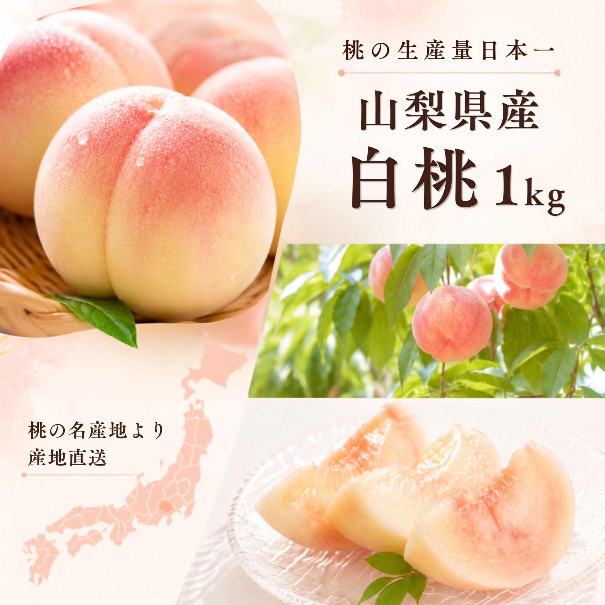 �R�����Y �����̓���