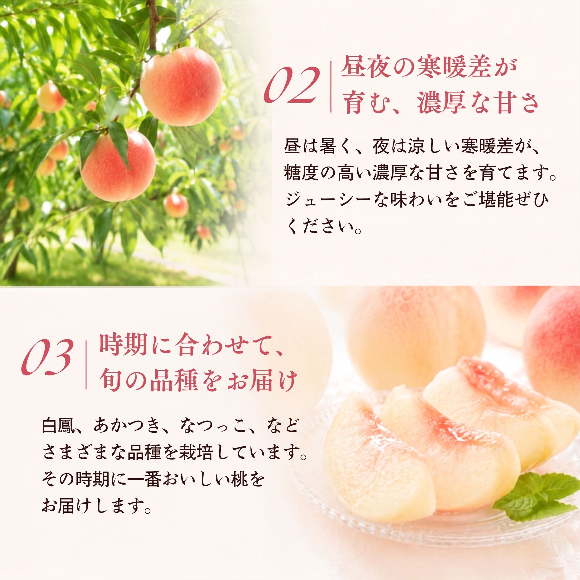 �R�����Y�����̕ۑ����@