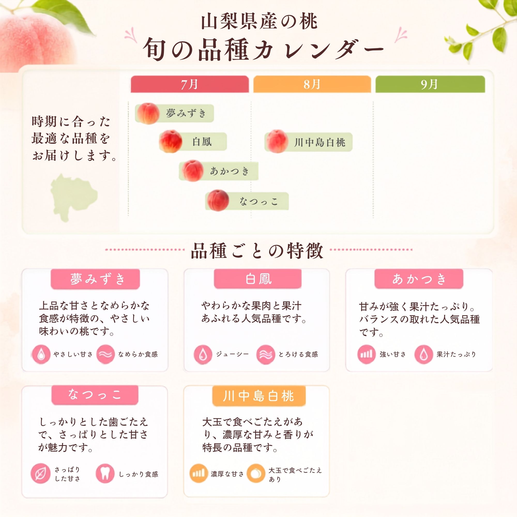 �R�����Y�����̏��i�ē�